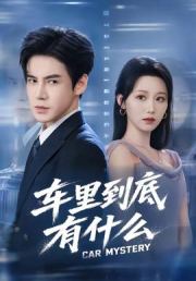 车里到底有什么